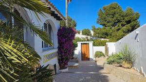 Villa las palmeras