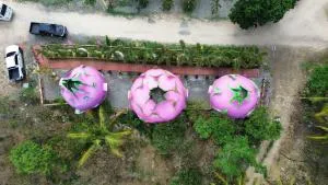 Leah's Crestview Farm Resort - Calatrava