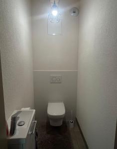 Appartements Les Gites Du Plane : photos des chambres