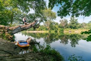Campings Camping La Chapouliere : photos des chambres