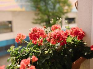 Casillas House en Indautxu