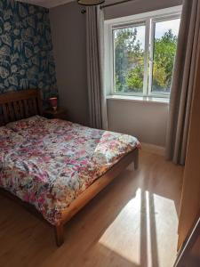 Latin Quarter Cosy Apartment