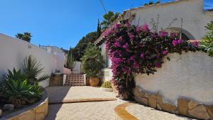 Villa las palmeras