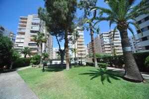 Madeira Superior Orangecosta