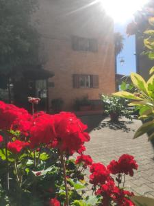 Hotel Arcobaleno Siena