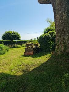 B&B / Chambres d'hotes Domaine Maze Churchill : photos des chambres