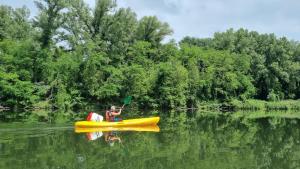 Campings Camping La Chapouliere : photos des chambres