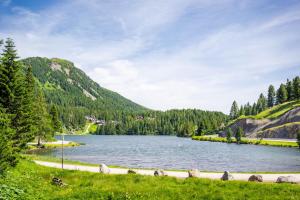 Alpin Peaks