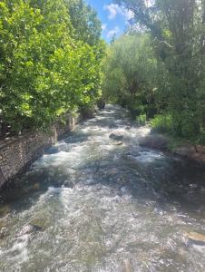 Apartamentos Pinos Genil