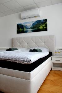 Apartmán Stummerova