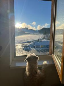 SKI&Fun Donovaly Magura