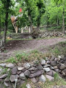B&B / Chambres d'hotes Les Ecrins de Belvedere : photos des chambres