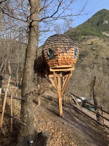 B&B / Chambres d'hotes Les Ecrins de Belvedere : photos des chambres