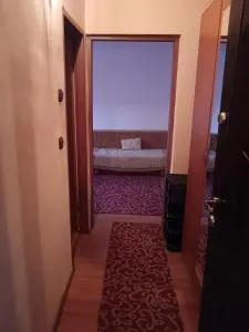 Apartament 1 camera zona liniștită - Dudaşu
