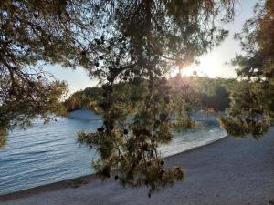 OreMore - Premium mobile home - Oaza Mira Camping, Drage