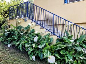 Maisons de vacances Maison sur les coteaux a 25 minutes d'Agen : photos des chambres