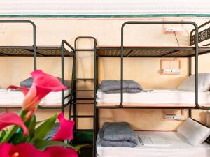 Single Bed in 5-Bed Mixed Dormitory Room