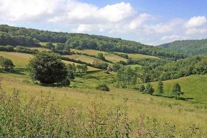 The Rookery Cottage - Newland