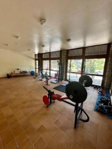 Appartements Apartamento en Enveitg, Montana Park : photos des chambres