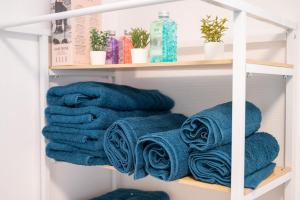 Appartements Grand logement 38m2, Aeroport Paris CDG, Disneyland Paris, Parc Asterix, Chambre, Salon : photos des chambres