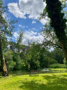 Maisons de vacances Superbe Moulin - Chateau Landon : photos des chambres