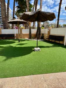 1ra Linea Playa Magic World Luxury Apartament PP3 Pet