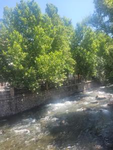 Apartamentos Pinos Genil