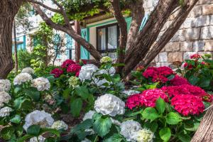 Villa Tre Mari img78