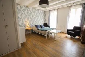 Monlogis 2 Grand Studio lumineux- Fibre - Soyaux