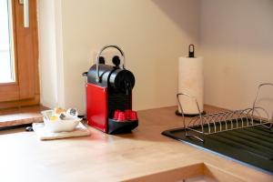 Apartment Bergglück im Lungau