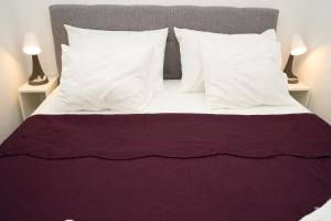 Apartment Zenta with free private parking