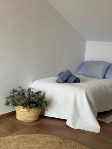 Casa Rural la Morera