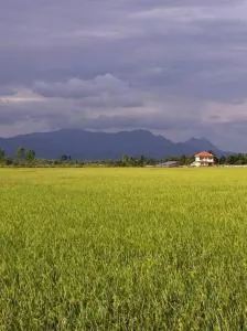 Princess's Palace B - Ban Dong Ma Tun