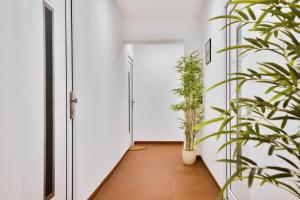 Apartmány Děčín