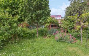 Awesome Apartment In Blankenburg Harz