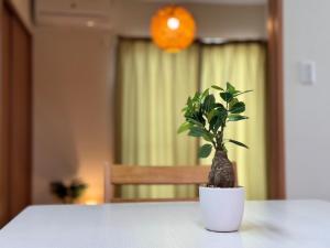 ura tomari