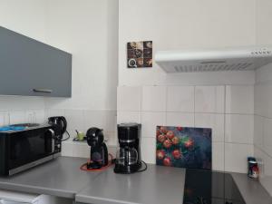 Appartements Chanoine Boursier : photos des chambres