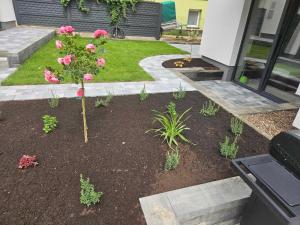 Apartamenty Dziwnów Welle