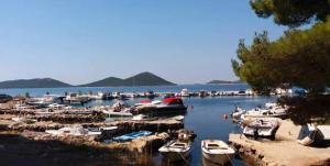 Apartmani Arta 3