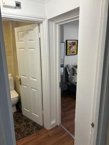 Cosy 1 bed in Central London available