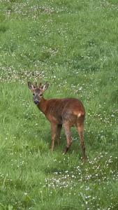 Domaine Les Fontaines