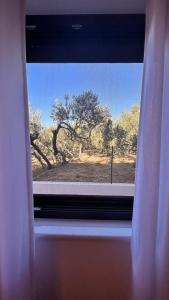 ŽIŽI exclusive apartments