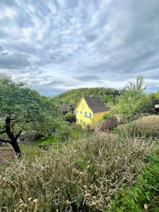 Dein Haus für den Zürich-Trip!