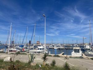 Studio Cabine au 1er étage, Terrasse Sud, Parking, Plage et Commerces à Proximité - FR-1-782-19