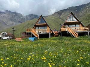 T&T cottage - 3-star hotels in Stepantsminda