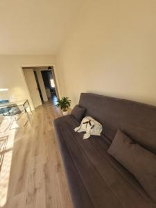 Appartements Residence Malouine les roses de Malo les bains Appartement avec balcon : photos des chambres