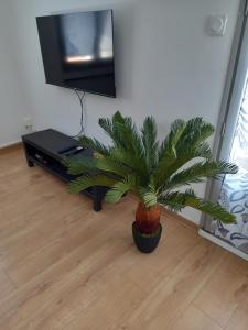 Appartement T3 en duplex Proche Gare avec Parking Privé