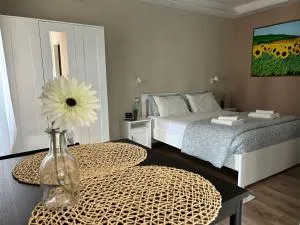 La corte di Silvia CENTRO - Golasecca