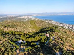 Dusler Vadisi Kazdaglari - İskele