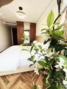 Harmony Garden - 卡萨布兰卡